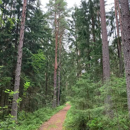 Loksa Hostel אכסניה