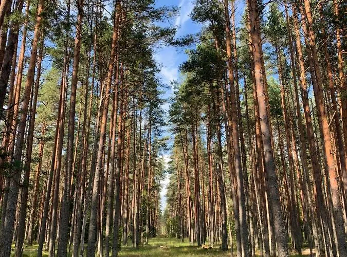 Loksa Hostel Hostel *